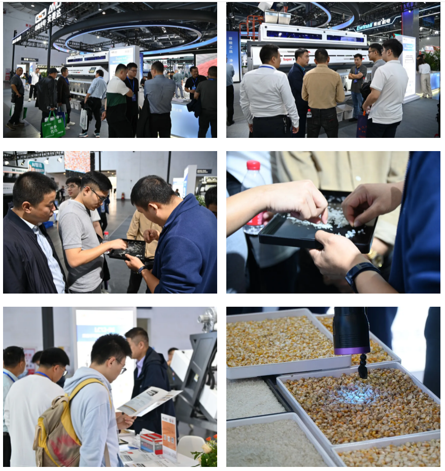 https://www.cn-amd.com/upload/ueditor/1731921914805513.png